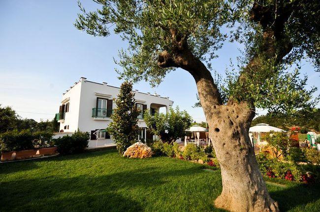 La Valle Del Cristallo B&B Cisternino Bagian luar foto